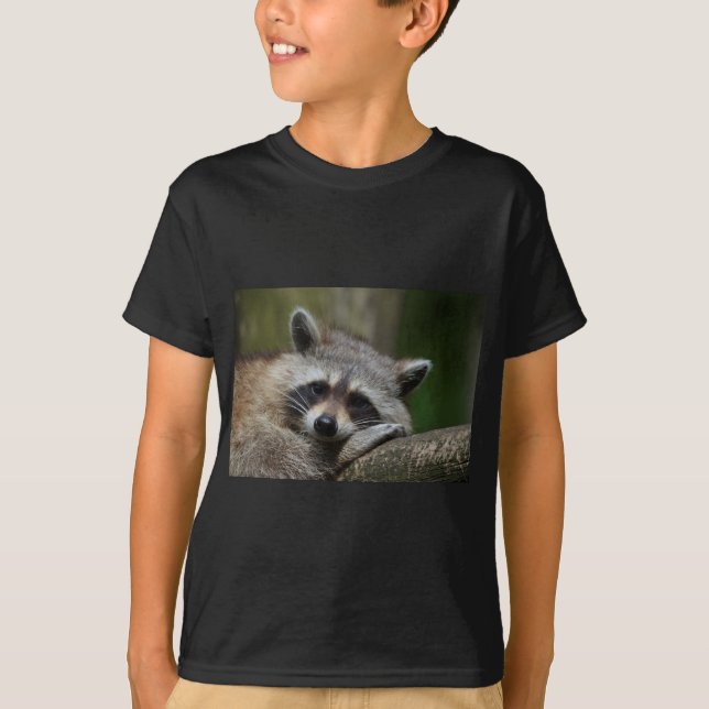 Camiseta Bandido en Raccoon (Anverso)