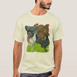 Camiseta Bantam Hen Quartet