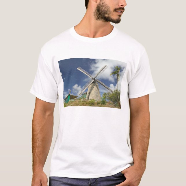 Camiseta BARBADOS, Costa Noreste, Morgan Lewis: Morgan (Anverso)