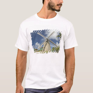 Camiseta BARBADOS, Costa Noreste, Morgan Lewis: Morgan