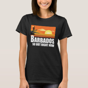 Camiseta Barbados tan caliente ahora mismo Retro Travel Bea