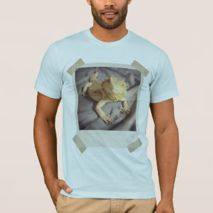 camiseta barbuda del dragón