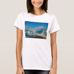 Camiseta Bariloche, camino a la estación de esquí
