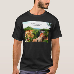 Camiseta BARRANCO de PROVIDENCE - Lumpkin, Georgia