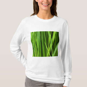 Camiseta Barras de hierba