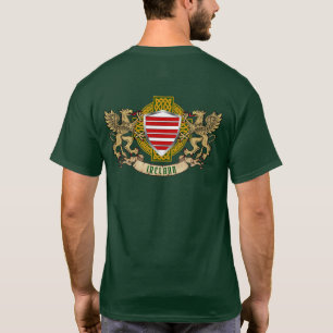 Camiseta Barry Irish Shield y Griffins Personalizados