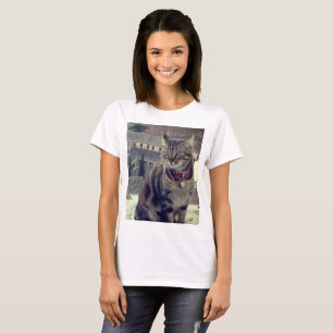 Camiseta básica femenina de foto de gato, blanca