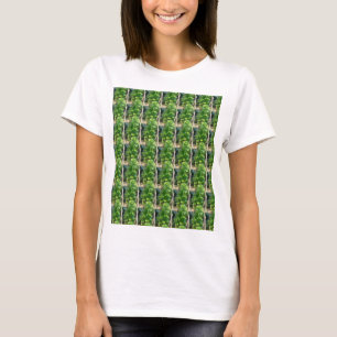 Camiseta básica para mujeres