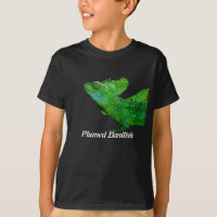 Basilisco Plumed