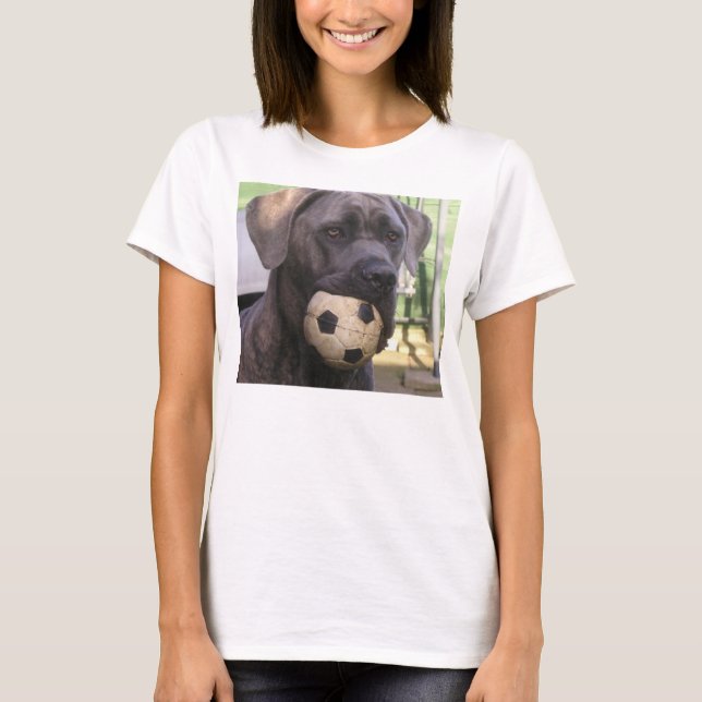 Camiseta bastón corso.png (Anverso)