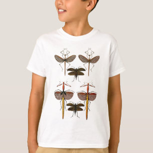 Camiseta Bastones, Katydids y libélulas