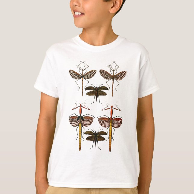 Camiseta Bastones, Katydids y libélulas (Anverso)