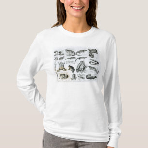 Camiseta Batracios y otras anfibias