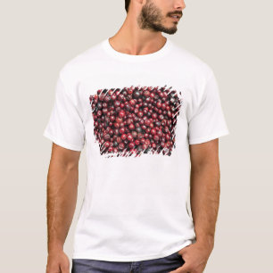 Camiseta Bayas rojas del Himalaya