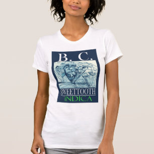 CAMISETA BC DULCE INDICA