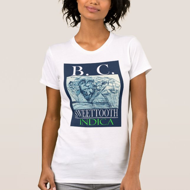 CAMISETA BC DULCE INDICA (Anverso)