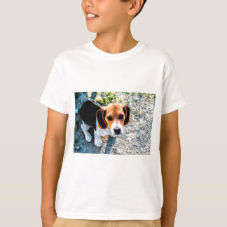 Camiseta Beagle lindo