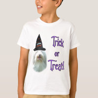 Bearded Collie Trick