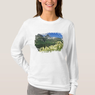 Camiseta Beargrass cerca de Logan Pass en Gacier National