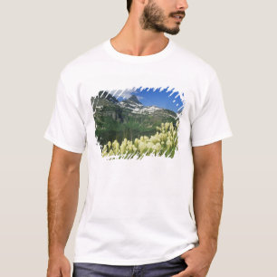 Camiseta Beargrass cerca de Logan Pass en Gacier National