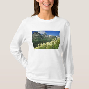 Camiseta Beargrass cerca de Logan Pass en Gacier National