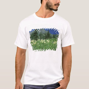 Camiseta Beargrass en el lago Eunice, Mt. Rainier NP, WA,