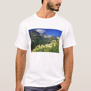 Camiseta Beargrass en Logan Pass en Glacier National Park