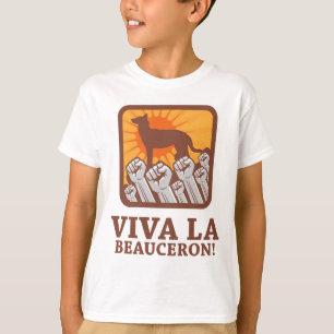 Camiseta Beauceron