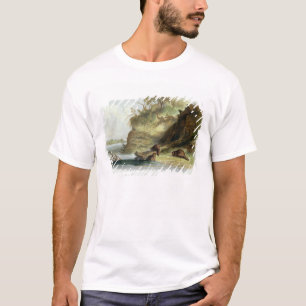 Camiseta Beaver la choza en el Missouri, platee 17 del