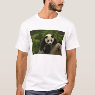 Camiseta Bebé de panda gigante