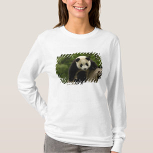 Camiseta Bebé de panda gigante