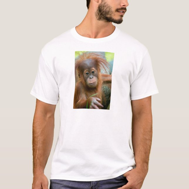 Camiseta Bebé lindo Orangutan mirando directo hacia adelant (Anverso)