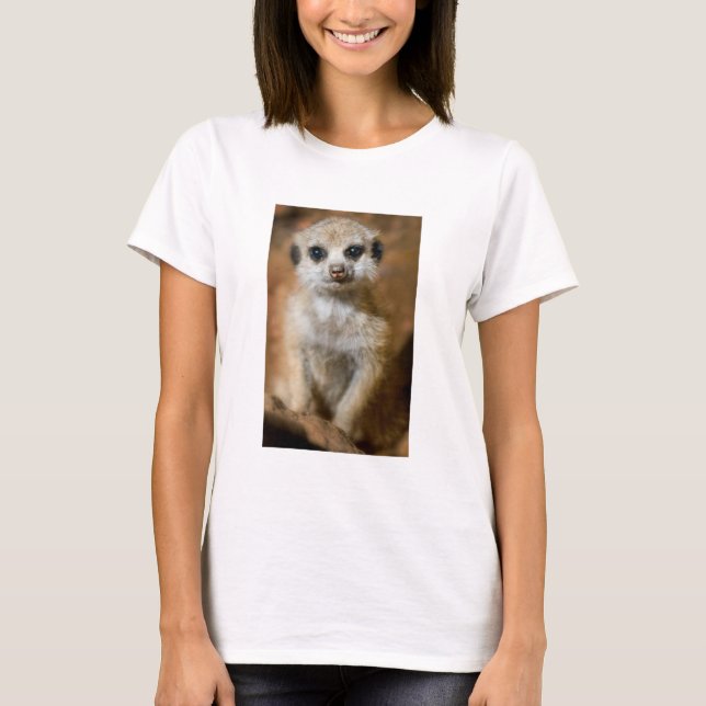 Camiseta Bebé Meerkat (Anverso)