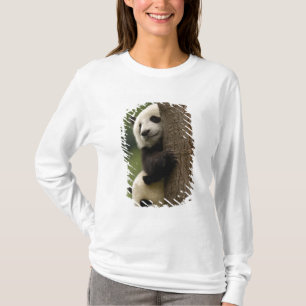 Camiseta Bebés de panda gigante (Ailuropoda melanoleuca)
