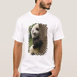 Camiseta bebés de panda gigante (Ailuropoda melanoleuca)
