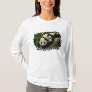 Camiseta bebés de panda gigante (Ailuropoda melanoleuca)