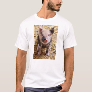 Camiseta Bebés lindos del corral de los animales del campo