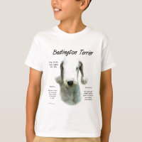 Bedlington Terrier History; todo sobre Bedlingtons