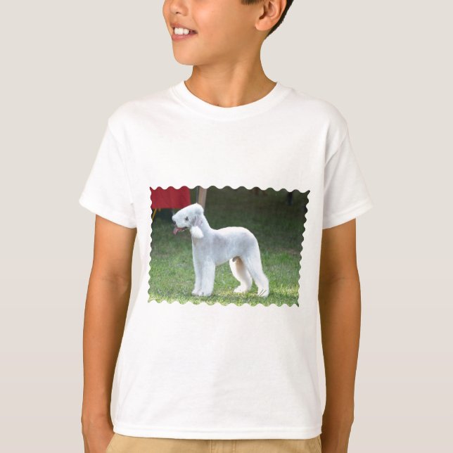 Camiseta Bedlington Terrier lindo (Anverso)