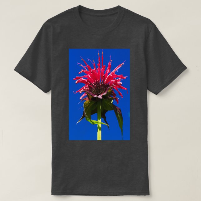 Camiseta Bee balm (Diseño del anverso)