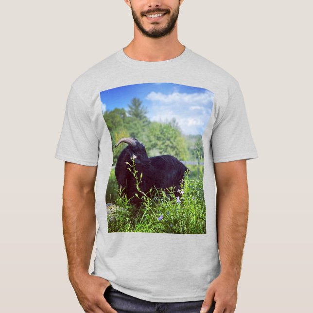 Camiseta Beethoven Printed Shirt (Anverso)