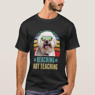 Camiseta Beis Not Teaching Bichons Frise Dog Summer