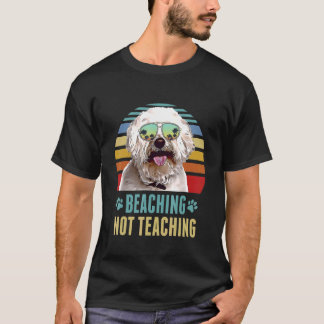 Camiseta Beis Not Teaching Bichons Frise Dog Summer