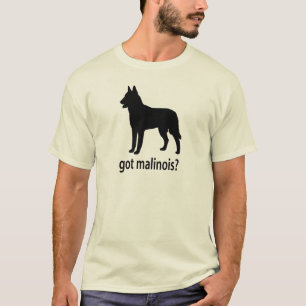 Camiseta Belga conseguido Malinois