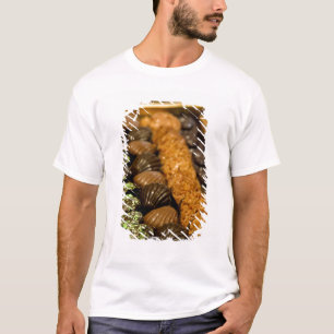 Camiseta Bélgica, Bruselas. Bélgica mundialmente famosa