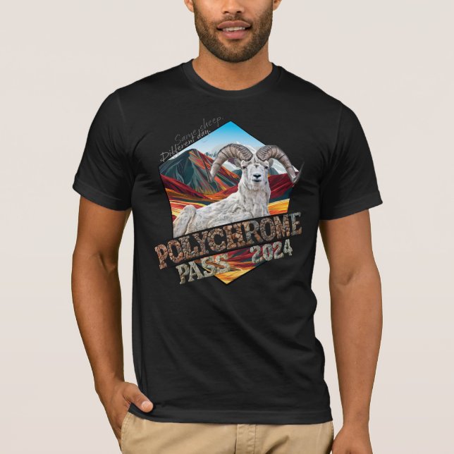 Camiseta Bella+Canvas Policromo T-Shirt Negro (Anverso)