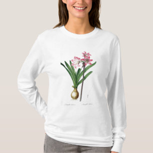 Camiseta Belladona del Amaryllis, de "Les Liliacees",