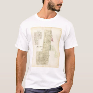 Camiseta Bellevue y La Platte, Nebraska