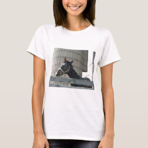 Camiseta Belleza de Black Stallion