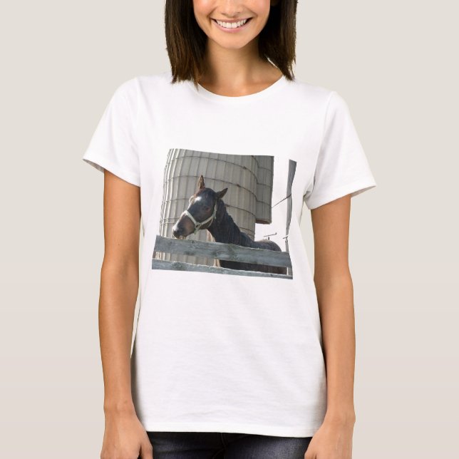 Camiseta Belleza de Black Stallion (Anverso)